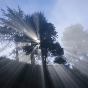 Messages from Lovers: Insight from the Spirit Side of Life